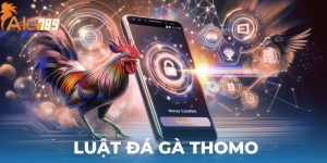 Luật đá gà thomo