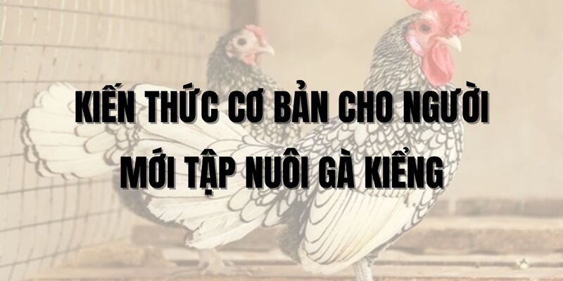 kien thuc co ban cho nguoi moi tap nuoi ga kieng