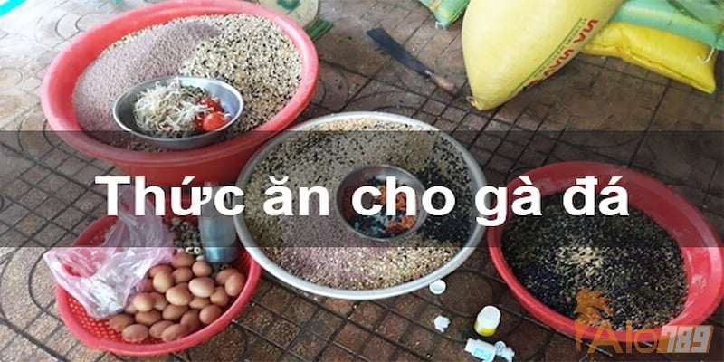 Thức ăn cho gà đá