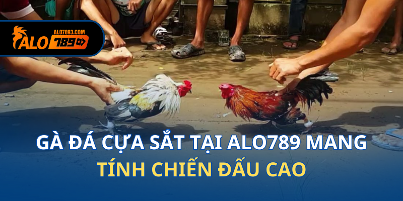 da-ga-cua-sat-1