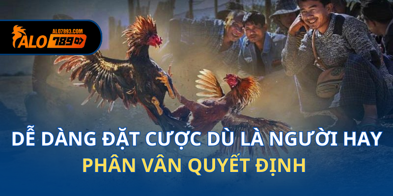 da-ga-cua-sat-2