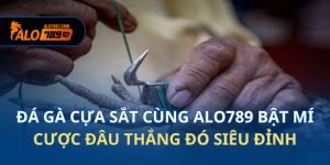 da-ga-cua-sat-4